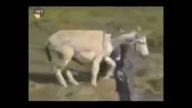 Германия открыла рождественские огни!(13) смотреть онлайн