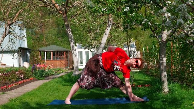 Йога-терапия, прана яма. Энергия спокойствия. смотреть онлайн