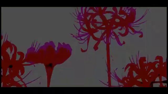 33113 1 смотреть онлайн