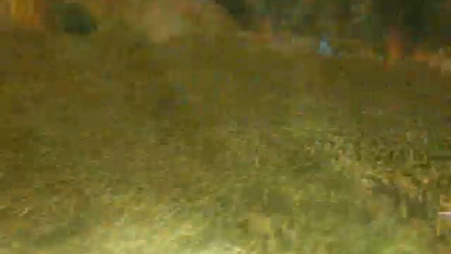 Devil-wow Server смотреть онлайн