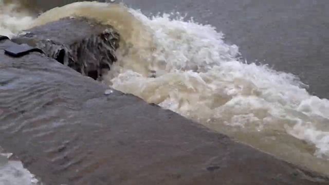 Захватывающая рыбалка