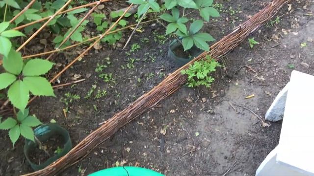 Уборка на даче после отпуска смотреть онлайн