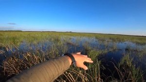 МАНОК МАХОКРЫЛ И МНОГО УТКИ! ОХОТА НА УТКУ С ЧУЧЕЛАМИ.