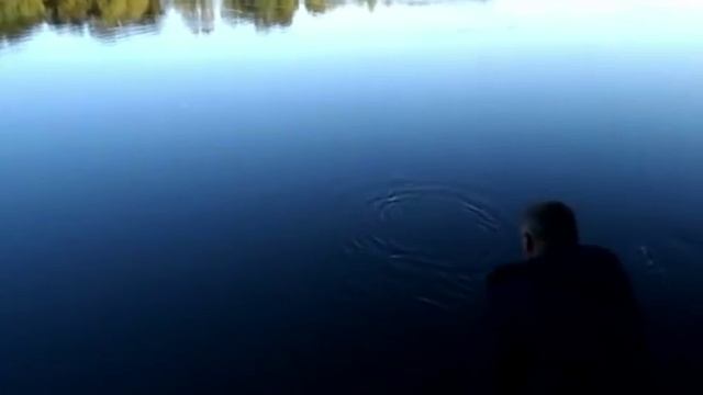 Фидерная рыбалка на Десне в конце мая. смотреть онлайн