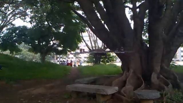 Multiwii 1.9 quadcopter смотреть онлайн