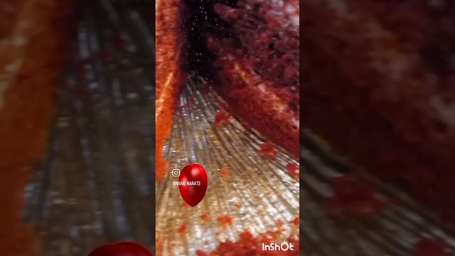 Красный Бархат ❤️