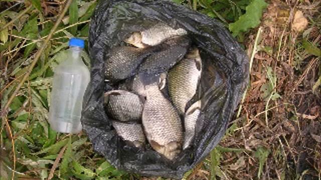 Запрет на рыбалку 2021 смотреть онлайн