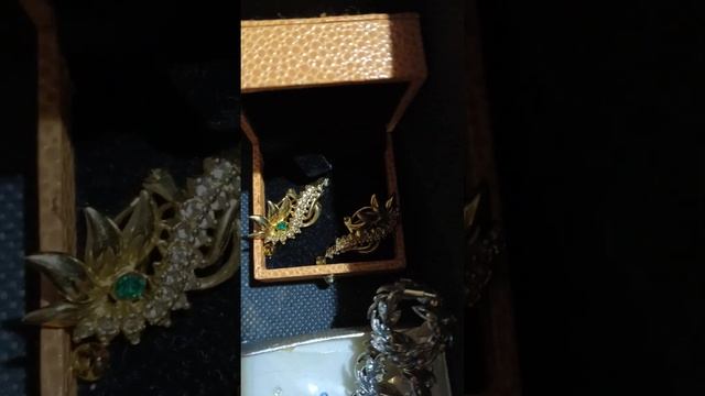 video 20230915 234927 Украшения. смотреть онлайн