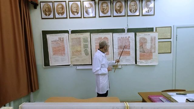 Пищеварительная система средний отдел смотреть онлайн