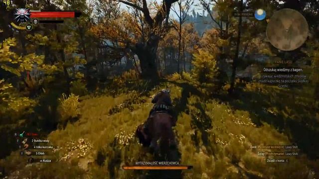 The Witcher 3 - Uber, 1920x1080, HW Off - Core i3 6100 + GTX780 смотреть онлайн