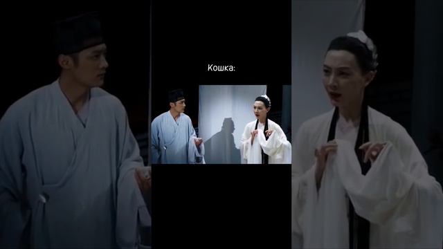 Каждый раз, когда покупаешь кошке новый корм смотреть онлайн