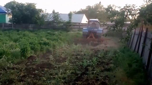 Дискование бурьянов Мтз 80 и садовые диски! смотреть онлайн
