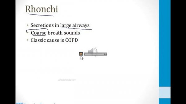 Pulmonary - 1. Embryology, Anatomy and Physiology - 9.Pulmonary Physical Exam atf