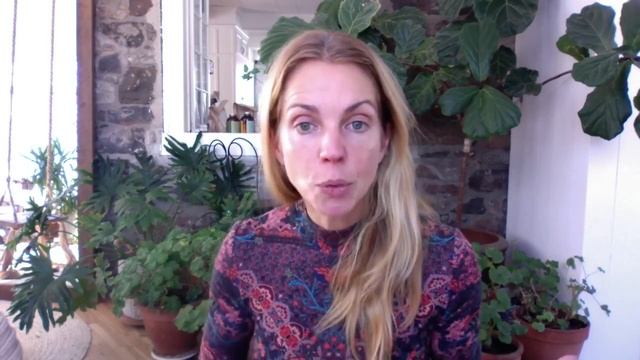 Lancement De Citrus X Paradisi