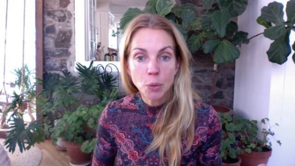 Lancement de Citrus X Paradisi