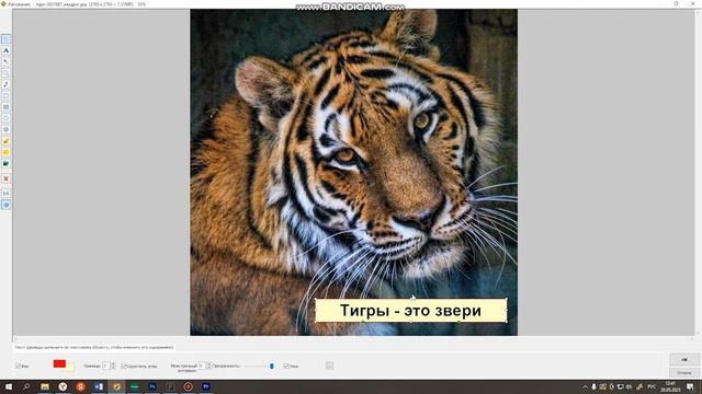 рисование смотреть онлайн
