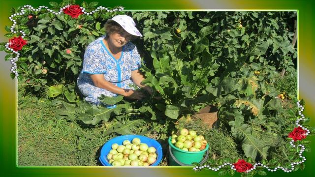 Музыкальное поздравление 02 06 2023 смотреть онлайн