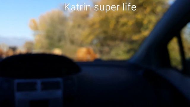 СТАДО КОРОВ ЛИМУЗИНОВ ИДЕТ КУШАТЬ НА ПАСТБИЩА смотреть онлайн