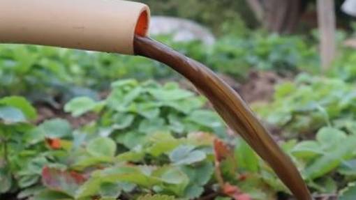 Подкармливаю клубнику этим в августе сентябре чтобы в следующем году было в 3 раза больше ягоды. смотреть онлайн