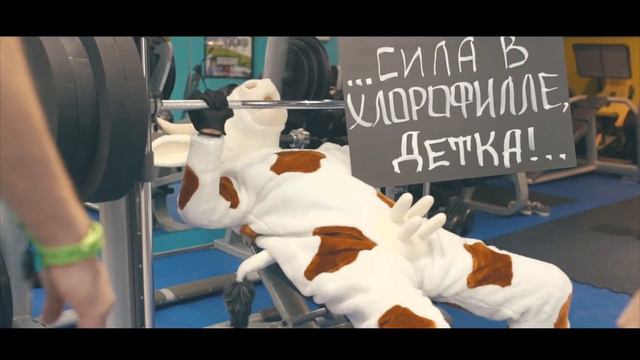Знаете ли вы о чем мычат коровы?! смотреть онлайн