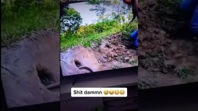 Жесть! Змея укусила в попу!!! смотреть онлайн