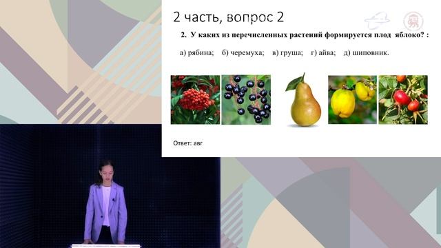 Разбор заданий школьного этапа ВсОШ по биологии, 9 класс, 3 группа смотреть онлайн