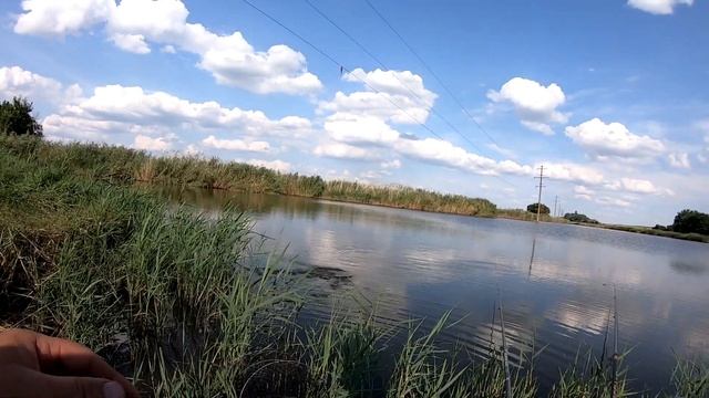 ЛОВЛЯ КАРАСЯ ЭТА НАЖИВКА ВСЕГДА ЛОВИТ ЛЕТОМ смотреть онлайн