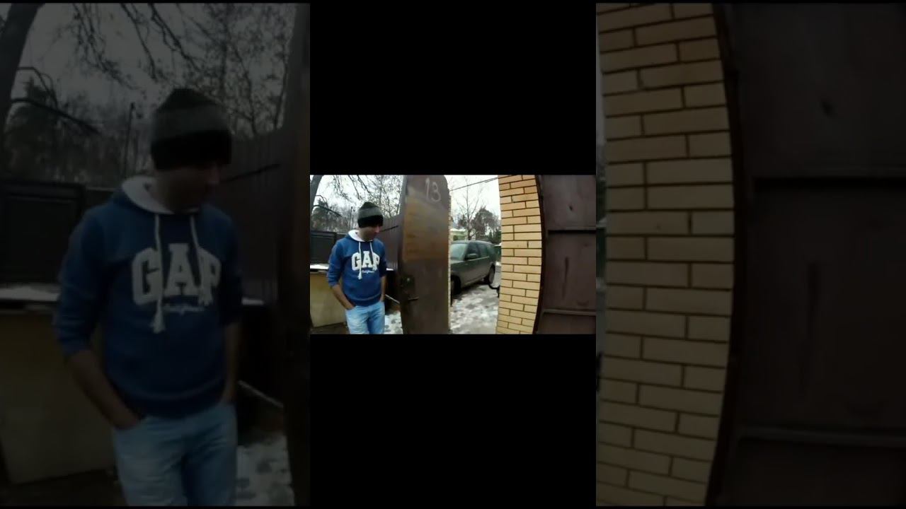 Зираддин Рзаев и ротвейлер Мони смотреть онлайн