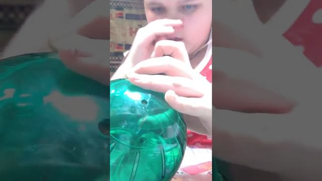 Жизнь хомяка: Беговой шар смотреть онлайн