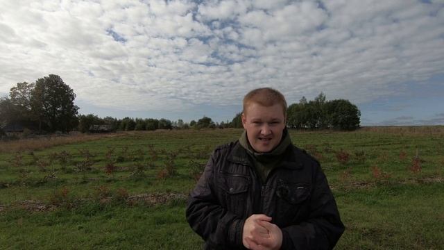 На каком расстоянии садить голубику // Голубика для начинающих. Часть 5 смотреть онлайн