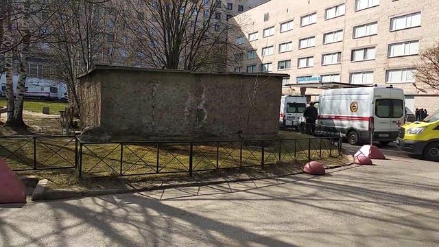 Корона вирус смотреть онлайн