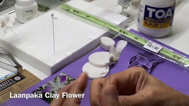 Орхидея Дендробиум Цезарь часть 1. mp4 смотреть онлайн