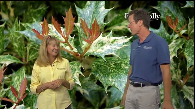 7/27/13 - Timeless Fragrance Gardening смотреть онлайн