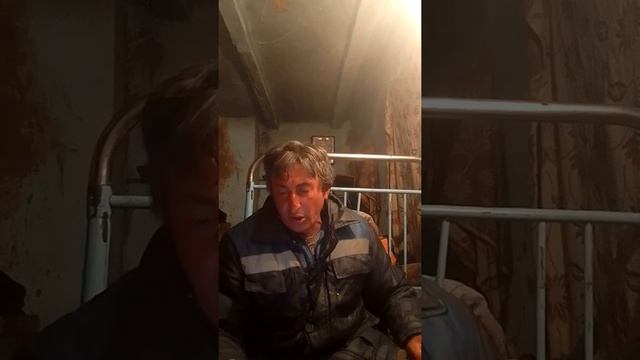 зайка моя.слова Ваньки Ла шина, музыка сектор Газа смотреть онлайн
