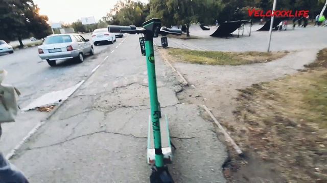 kiwi прокат элекртосамокатов смотреть онлайн