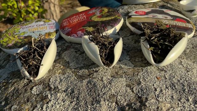 Шэн пуэр и белый чай с деревьев Суху, эко сырьё и традиционные технологии, влияние прессовки на вку смотреть онлайн