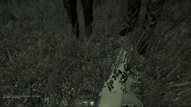 DayZ - Ночная Охота на Коров смотреть онлайн
