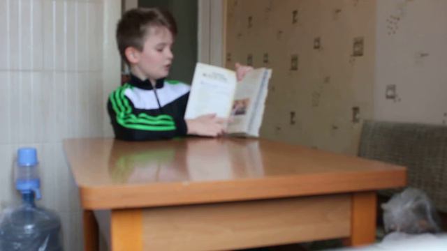 обзор книги Диппер и Мейбл сокровища пиратов времени смотреть онлайн