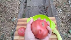 Сорт томата-Чероки пурпле вариегатный(Cherokee Purple variegated)