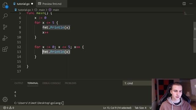 Golang Tutorial #10 - For Loops & While Loops смотреть онлайн