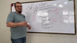 Раджабов Шамиль