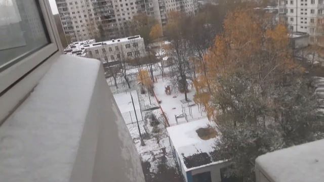 1-й снег утром 31 октября 2022. смотреть онлайн