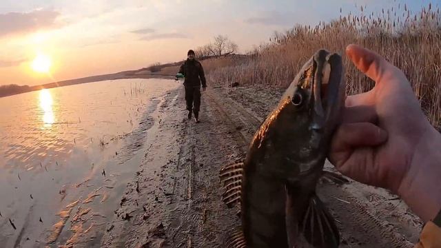 ВОТ ЭТО РЫБАЛКА!!! Рыбалка на спиннинг 2020. Джиг, спиннинг. смотреть онлайн