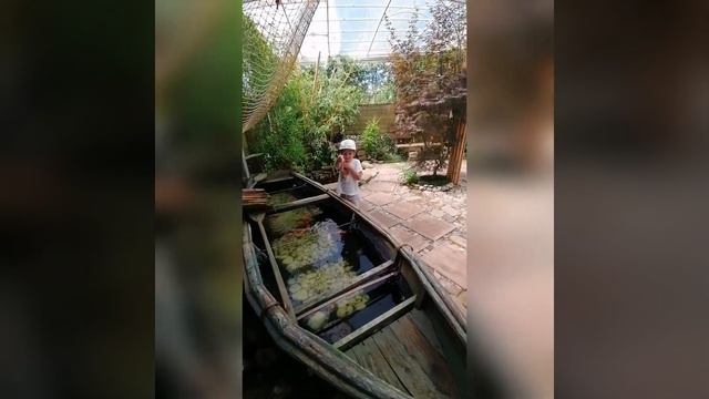 Сочинский Дендрарий 2021 смотреть онлайн