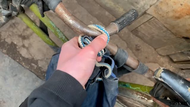 Распаковка Морских Жителей. Радиола Дня / STAS ASKET