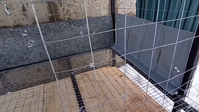 Самая лучшая клетка для кур-несушек своими руками . Покупать или делать самому! Конструкция клеток! смотреть онлайн