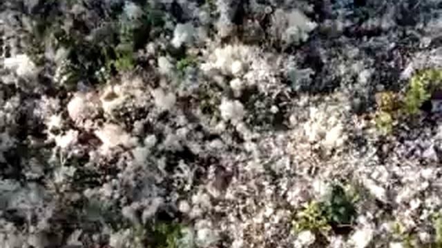 Лапландия 2013.07.22 В гостях у деда мороза смотреть онлайн