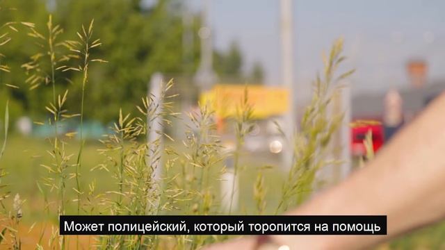 Правдоподобный социальный ролик смотреть онлайн