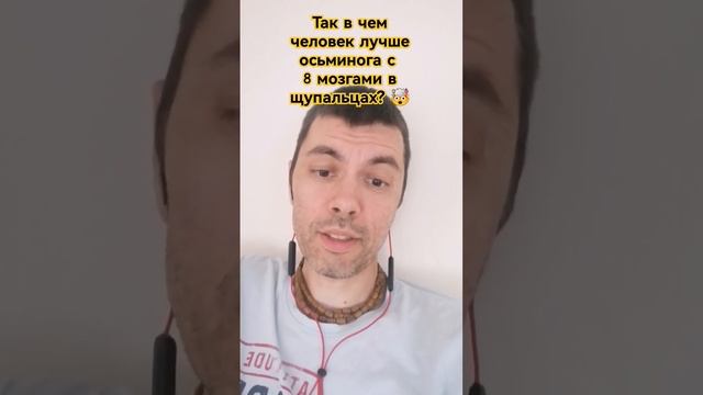 кто лучше шимпанзе, человек или осьминог? #черниговская #эволюциясознания #хакимов #мозг смотреть онлайн
