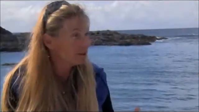 Various anti captivity comments by different people. смотреть онлайн